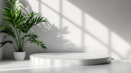 Poster - Backdrop Studio Background Shadow White Light Podium Floor Plant Product Wall Pattern Abstract Kitchen Shadow Leaf Table Product 3d Bg Minimal Mockup Platform Kitchen Loft Grey Empty P : Generative AI