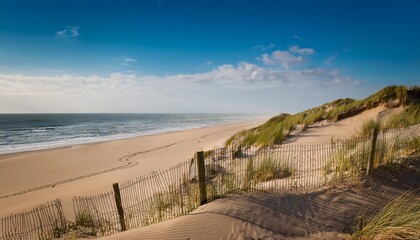 Wall Mural - beach scene with sand dunes and fencing by ocean