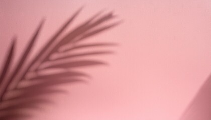 Wall Mural - blurred shadow from palm leaves on the light pink wall minimal abstract background for product presentation spring and summer