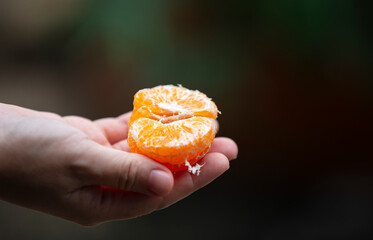 Poster - Close up of a hand holding a tangerine or mandarin