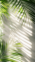 a leafy green palm tree casts a shadow on a white wall. the shadow is long and thin, stretching acro
