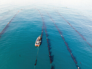 Wall Mural - Suryeom-ri, Gyeongju-si, Gyeongsangbuk-do, South Korea - May 2, 2022: Aerial view of a fisherman on fishing boat working next to rope with seaweed for sea farm