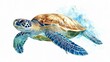 © Aventurine - Watercolor sea turtle gracefully swimming through clear blue water, with smooth, fluid lines.