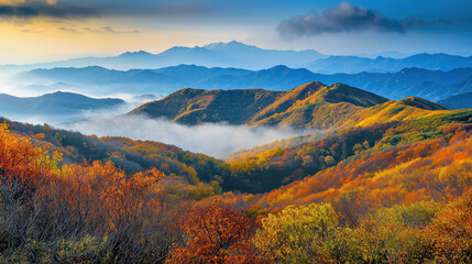 Wall Mural - View of the autumn forest in mountains on sunset