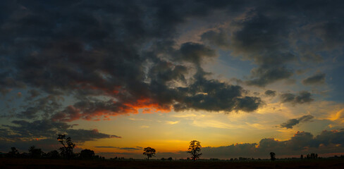 Wall Mural - Sky sunset. Cloudscape nature background.