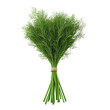 © Sariyono - Fresh dill herb bundle isolated on white background. Ideal for culinary and gardening purposes