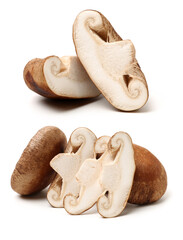 Wall Mural - Shiitake mushroom on the White background 