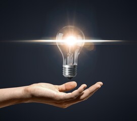 Wall Mural - hand holding bright light bulbs