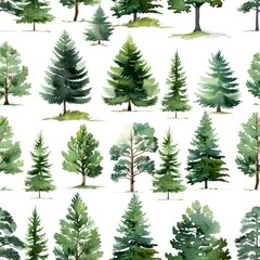 Watercolor Painting of Various Evergreen Trees on White Background