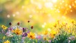© Thanthara - Colorful flower meadow with sunbeams and bokeh lights in summer - nature background banner with copy space - summer greeting card wildflowers spring concept