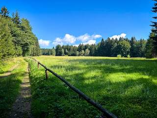 Wall Mural - Pathway and wooden corral in summer landscape under blue sky