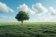© InnovPixel - A serene landscape featuring a solitary tree in an expansive green field under a bright blue sky with fluffy clouds