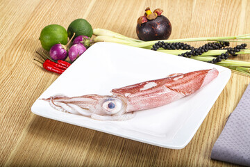 Raw fresh squid for cooking