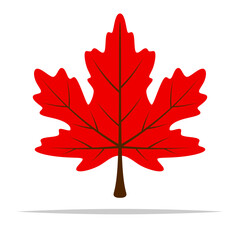 Poster - Red maple leaf flat color vector isolated illustration