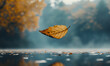© Alexey - Lonely falling autumn leaf. Autumn mood concept. Autumn colorful background.