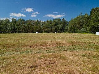 Drone view of the forest and fields, top view and blue sky on a sunny summer day