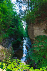 A green planted canyon with a small river, lush rocks and dense forest, creating a peaceful and mysterious atmosphere, , Watkins Glen State Park, Pennsylvania