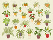 © ONYXprj - House plants. Botanical flowers collection different home plants in pots recent vector colored templates set