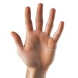 © Антон Сальников - Hand or palm of a woman isolated on a transparent background