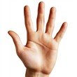 © Антон Сальников - Detailed illustration of an open palm or hand of a female on a transparent background