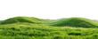 © David Kreuzberg - green grassland landscape isolated on white or transparent png