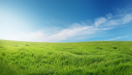 Green grass on blue clear sky, spring nature theme. Panorama