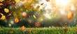 © Zaleman - The autumn leaves of a meadow in golden october are framed in sunshine with copy space on a golden background.