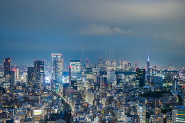 Canvas Print - 日本の首都東京の夜景