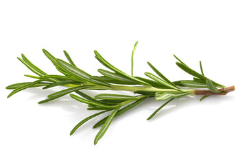 Poster - Rosemary leaf herbal is spices isolated on a white background.