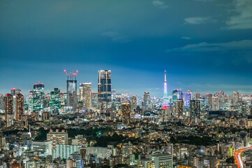 Canvas Print - 日本の首都東京の夜景