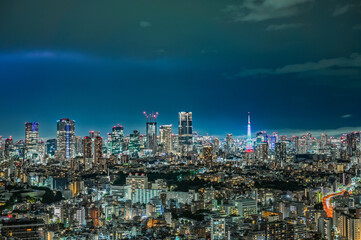 Wall Mural - 東京の夜景と雷