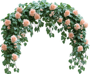 Wall Mural - Floral arch with pink roses isolated on white background. PNG transparent.