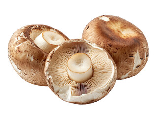 Wall Mural - Porcini mushrooms isolated on white background. PNG transparent.