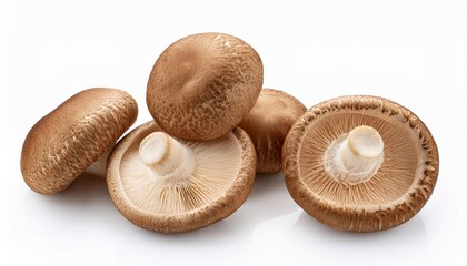 fresh shitake mushrooms on a white background