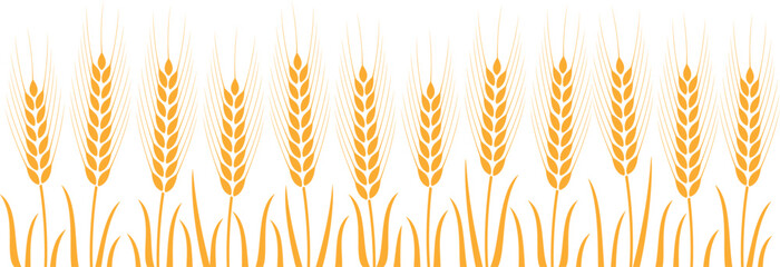 Sticker - Field with wheat. Isolated wheat on white background