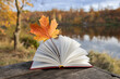 © Anna - Hello autumn. seasonal atmospheric photo. yellow-orange maple leaf between the pages of an open book on a sunny day. pleasant solitude, self-education is a pleasure. Simple human joys. enjoy every day