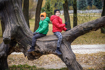 Wall Mural - Two boys are sitting on a log. The child walks in the summer par