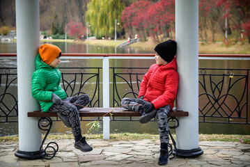 Wall Mural - Two siblings stand on the bridge and admire the magnificent view