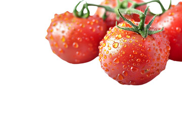 Wall Mural - Bright red tomatoes with dew-like water droplets, isolated on a white background, featuring their vivid color and freshness