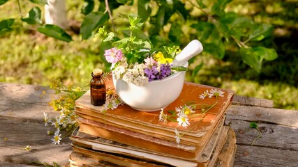 Wall Mural - Woman with medicinal herbs in the garden. Selective focus.