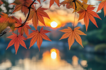 Poster - Autumn Sunset