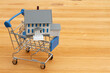 © Karen Roach - Buying a home with a blue shopping cart with a house on a desk