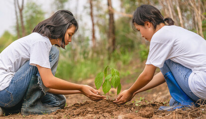 two young girls are planting a tree together