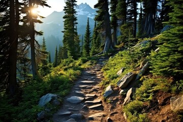 Wall Mural - Hiking trail landscape wilderness mountain.