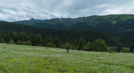 Wall Mural - Aerial view of woman riding mountain bike on flowering grassland mountain trail