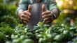 © LuvTK - A gardener giving a thumbs up while standing in a lush, green herb garden they’ve cultivated, with basil, rosemary, and mint plants thriving around them, captured in high definition with soft,