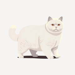 Poster - Illustration of a white cat