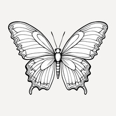 Sticker - Intricate butterfly line art drawing