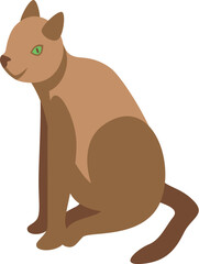 Wall Mural - Brown cat with green eyes sitting in isometric view, isolated on white background