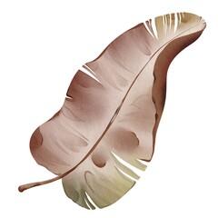 Watercolor dried  banana leaf isolated on white background. Tropical botanical plant. Hand-drawn Illustration foliage isolated for cards, invitations, weddings and other. Floral element palm leave.